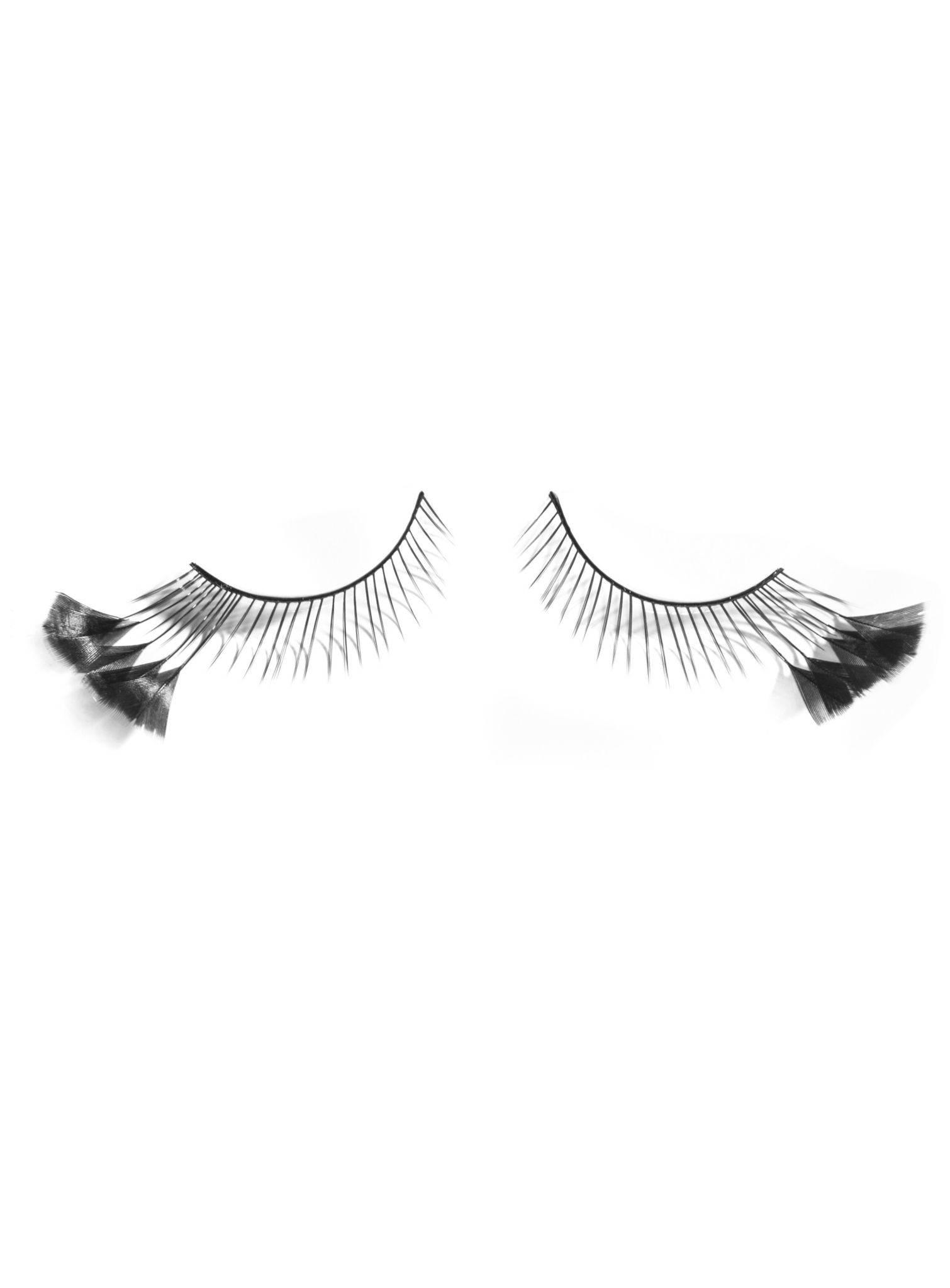 Bird of Paradise Wimpern