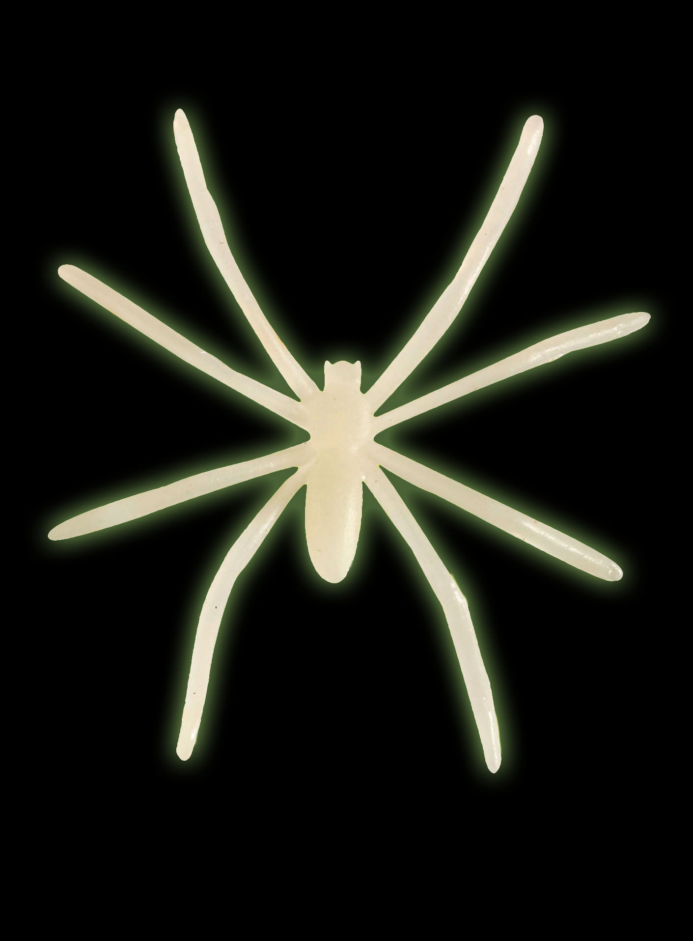 Leuchtende Spinnen