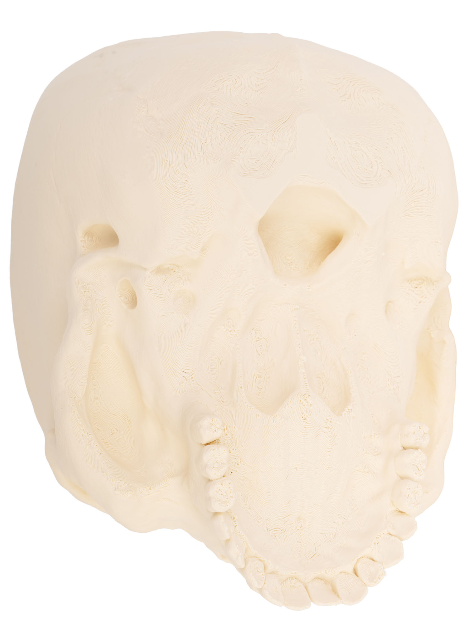 3D-Druck - Menschenschädel mit beweglichem Kiefer zum Bemalen