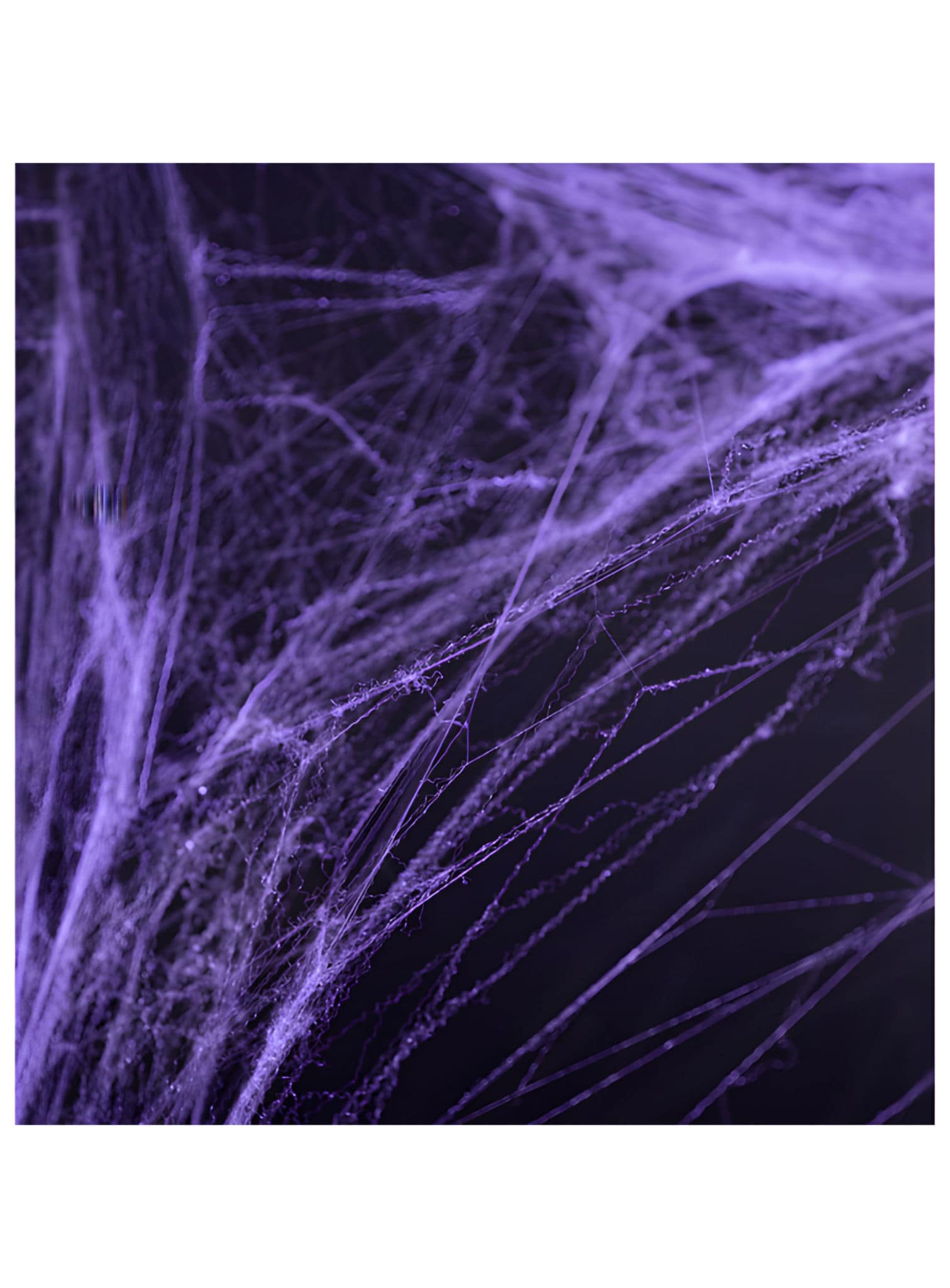 Toiles d'araignées d'horreur – Décoration d'Halloween violette 60 g