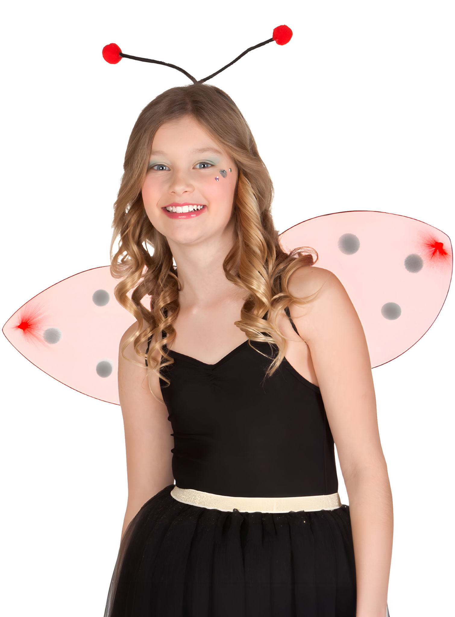 Lieveheersbeestje Accessoire Set