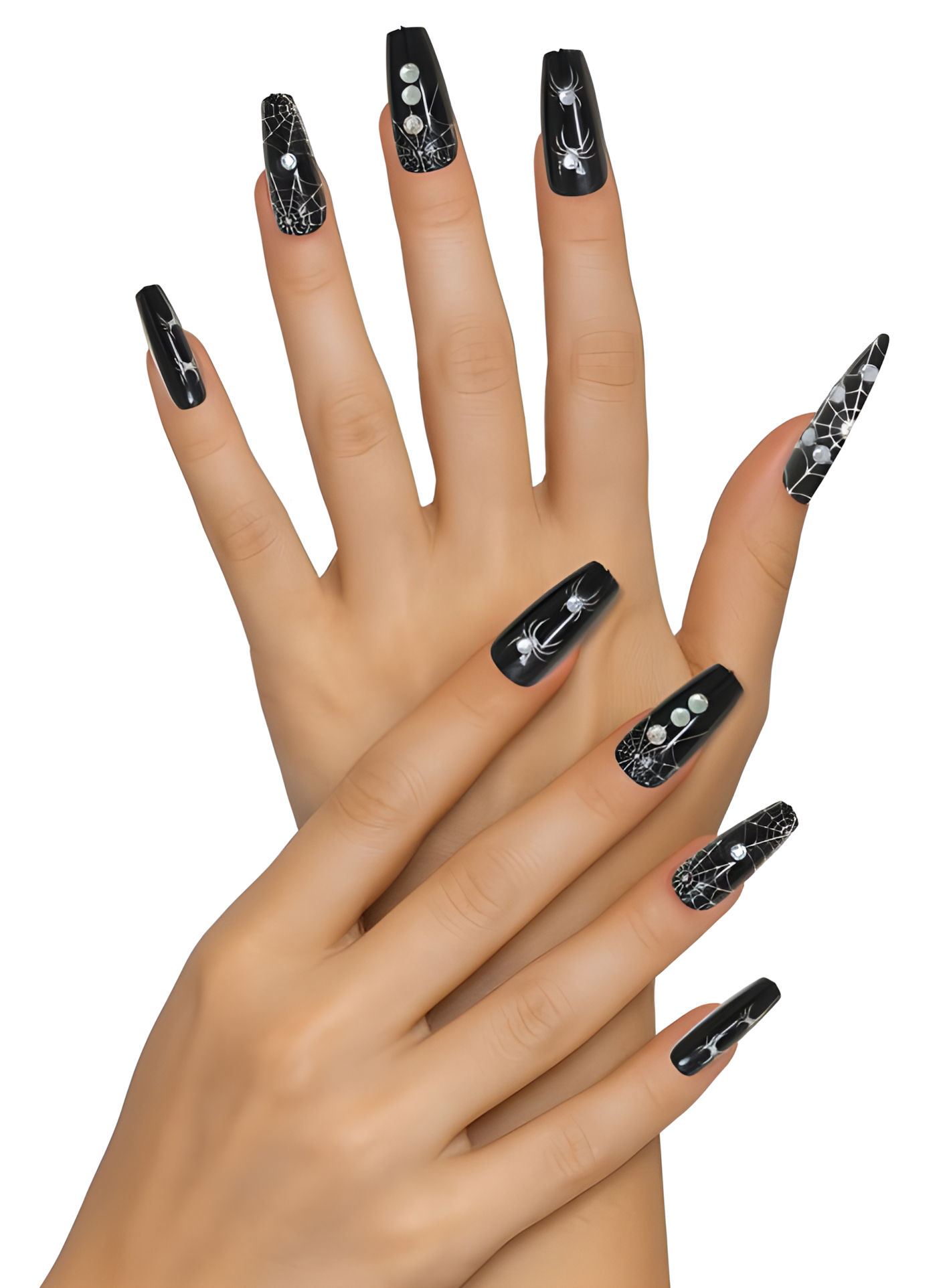 Schwarze Witwe Spinnen-Fingernägel