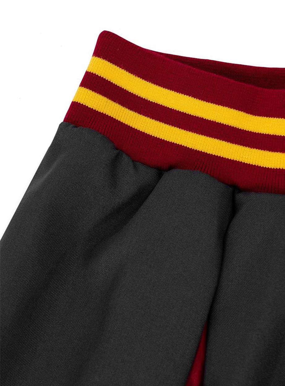 Harry Potter – Griffoendor rok
